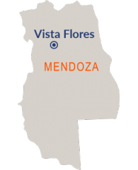 mendoza-vista-flores-map